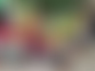 नवरात्रि में सेवा का बड़ा संदेश, राष्ट्रीय अध्यक्ष दीपक सिंह तोमर ने बांटी खुशियां