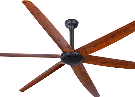 The Big Fan Hunter Pacific Inter