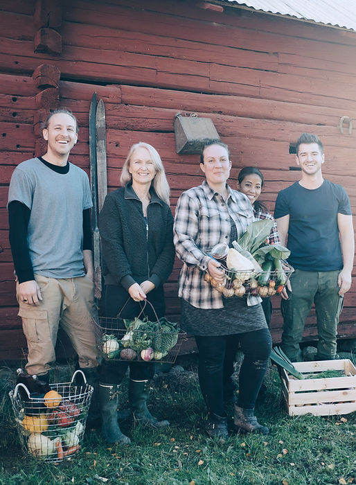 Farmers Havrvesting Organic Vegetables