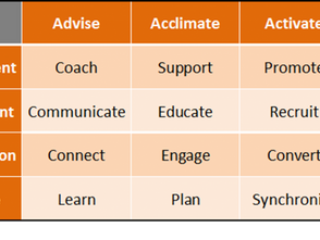 Partner Strategy Framework