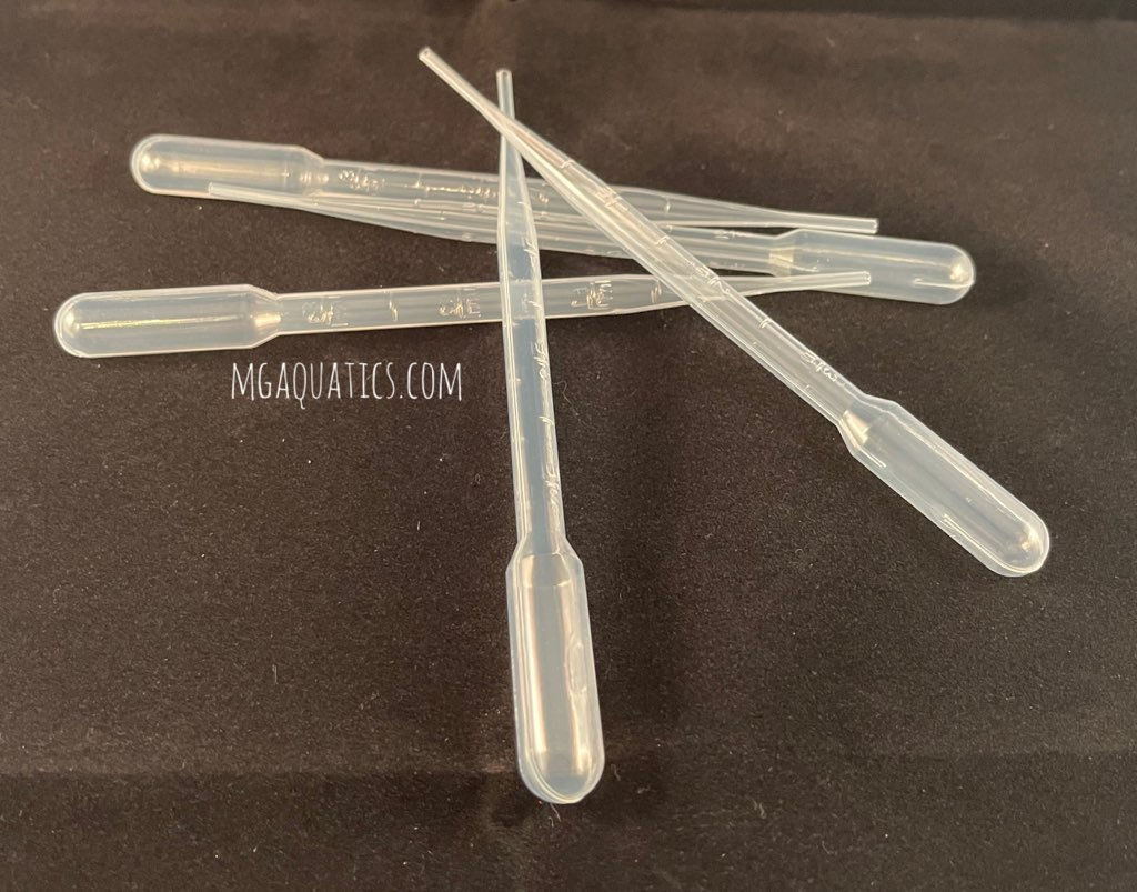 Graduated Pipette (2 Count)