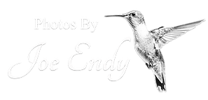 siglogoWW copy.png