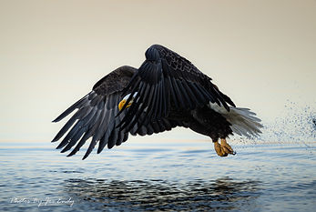 12082023 (466)-Enhanced-NR-4.jpg