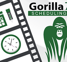 Film & Video Scheduling