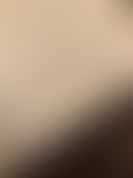 As notas de rodapé - e a transmissão do conhecimento