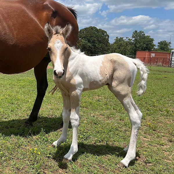 BirthPhoto1.jpg