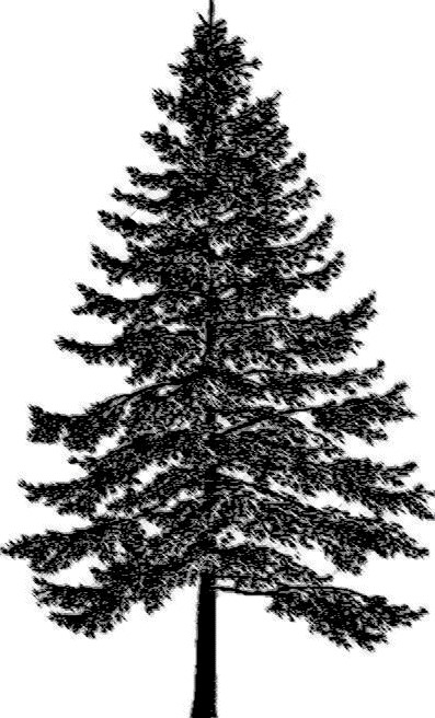 Sacramento Landscape Company
