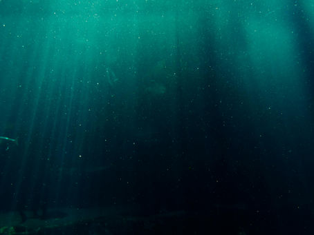 transmutation 9/9/25