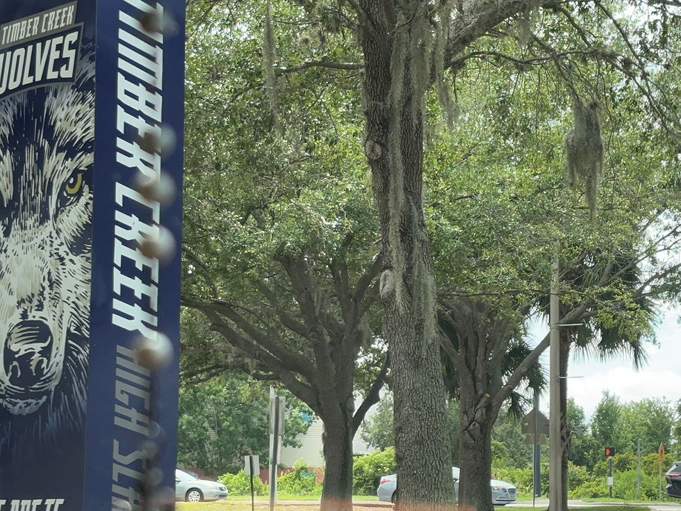 Timber Creek High School, home of the Wolves, stands in the heart of East Orlando.