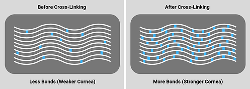 Crosslinking