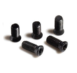 Sruby-M3-5x8-mm-TORX-do-narzedzi-skladanych.jpg