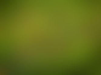 chăm sóc cơn giận