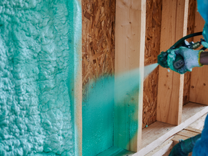 Innovative Insulation Sealing Entry Points Naturally with Spray Foam