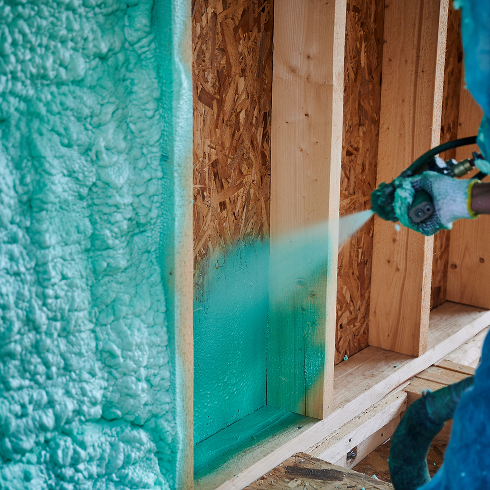 Innovative Insulation Sealing Entry Points Naturally with Spray Foam