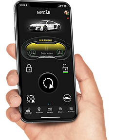 Vehicle Security Systems