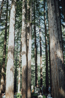 Outdoor wedding ceremony at amphitheater of the redwoods at pema osel ling