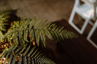 Aimee & Daniel - Amphitheatre Fern - Michael Dadula Photography.JPG
