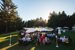Outdoor wedding reception in the redwood forest
