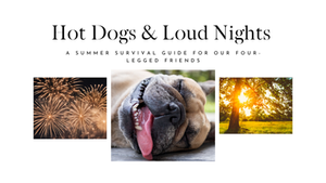Hot Dogs & Loud Nights