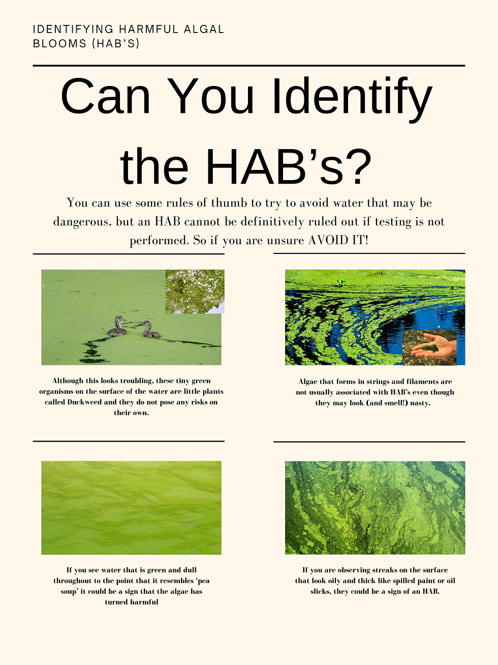 How did you do on the quiz? Always remember to avoid water that you think looks questionable. It is always better to err on the side of caution when it comes to HAB's.