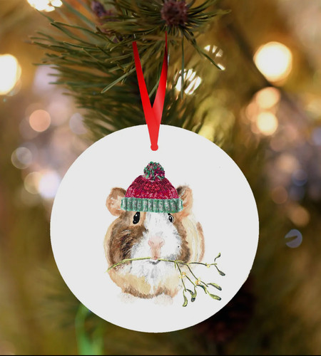 Christmas Decoration Guinea Pig Holiday Boarding Near Me Guinea