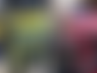 Sol da Pátria repudia o "Capitólio brasileiro"