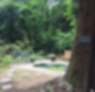 35784716_1843414265679479_315046021644156928_n