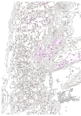 Image1.png