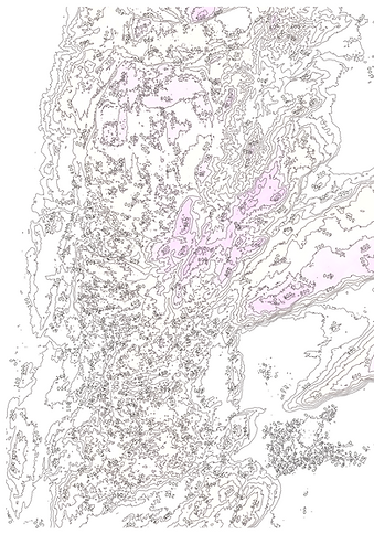 Image1.png