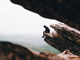 Fomo vertical