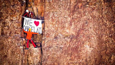 États-Unis : un site d'escalade mythique, bientôt avalé par la mine