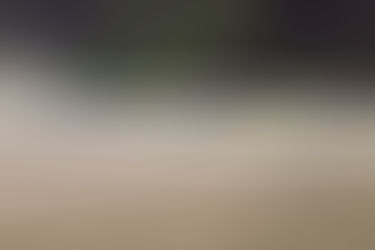 STREET DRAGS AND BUCK NIGHT AT MIS THIS WEEK