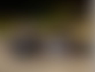 Brian Beale Edges Zack Riddle for NASCAR Late Model Win at Madison