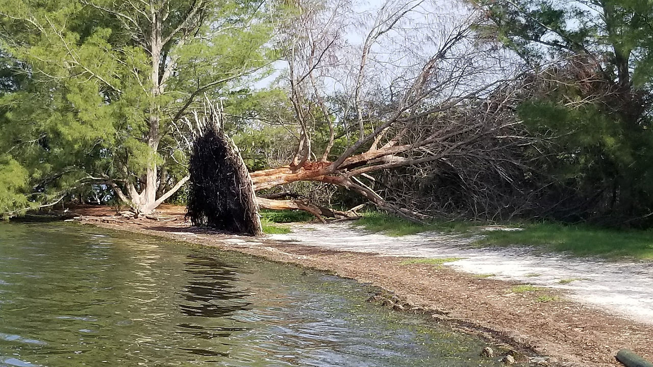 St Pete Hike