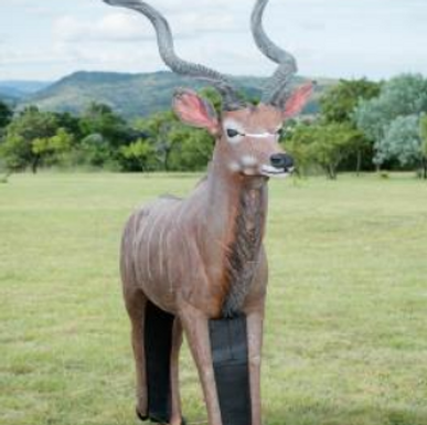 kudu 2025-08-15 081908.png