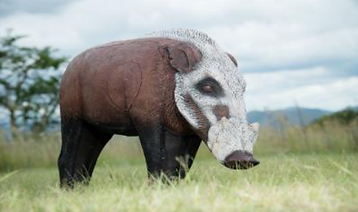 bushpig2025-08-15 082605.png