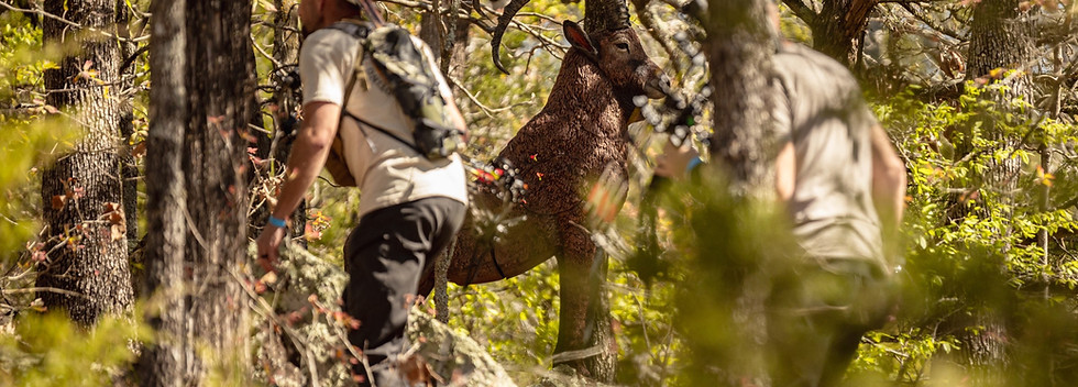 shot3dx-insideoutdoorstv-26.jpg