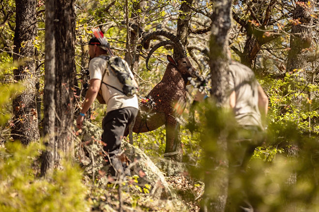 shot3dx-insideoutdoorstv-26.jpg