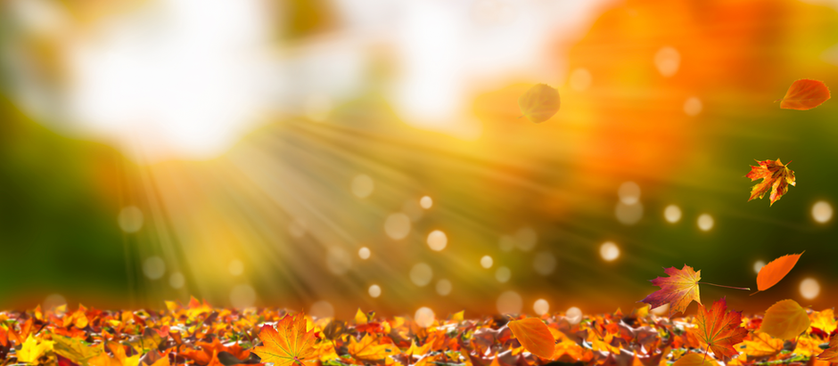 Leaves are falling.. but so are your lashes