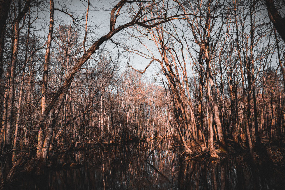 8C1767AF-CBEC-4E31-B581-574F679E6F0D