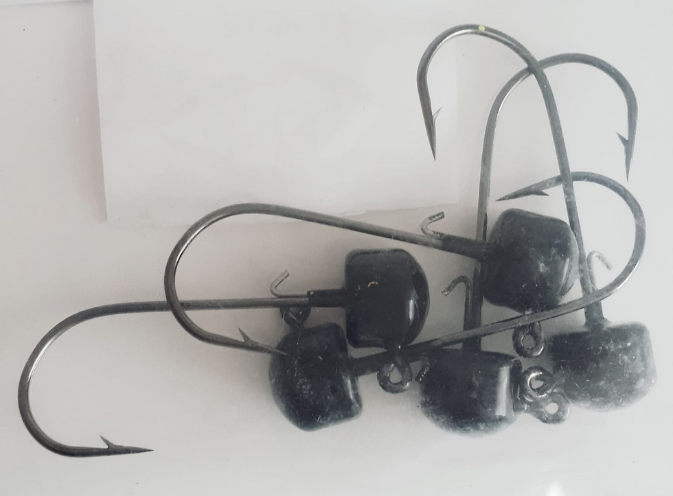 Miniature : Ned Rig