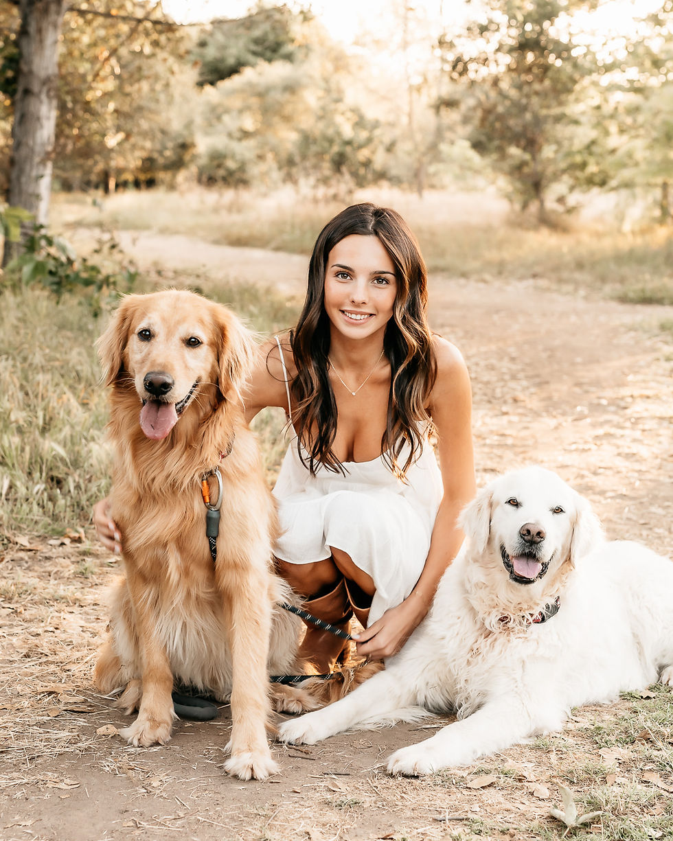 high school senior with her two golden retrievers 