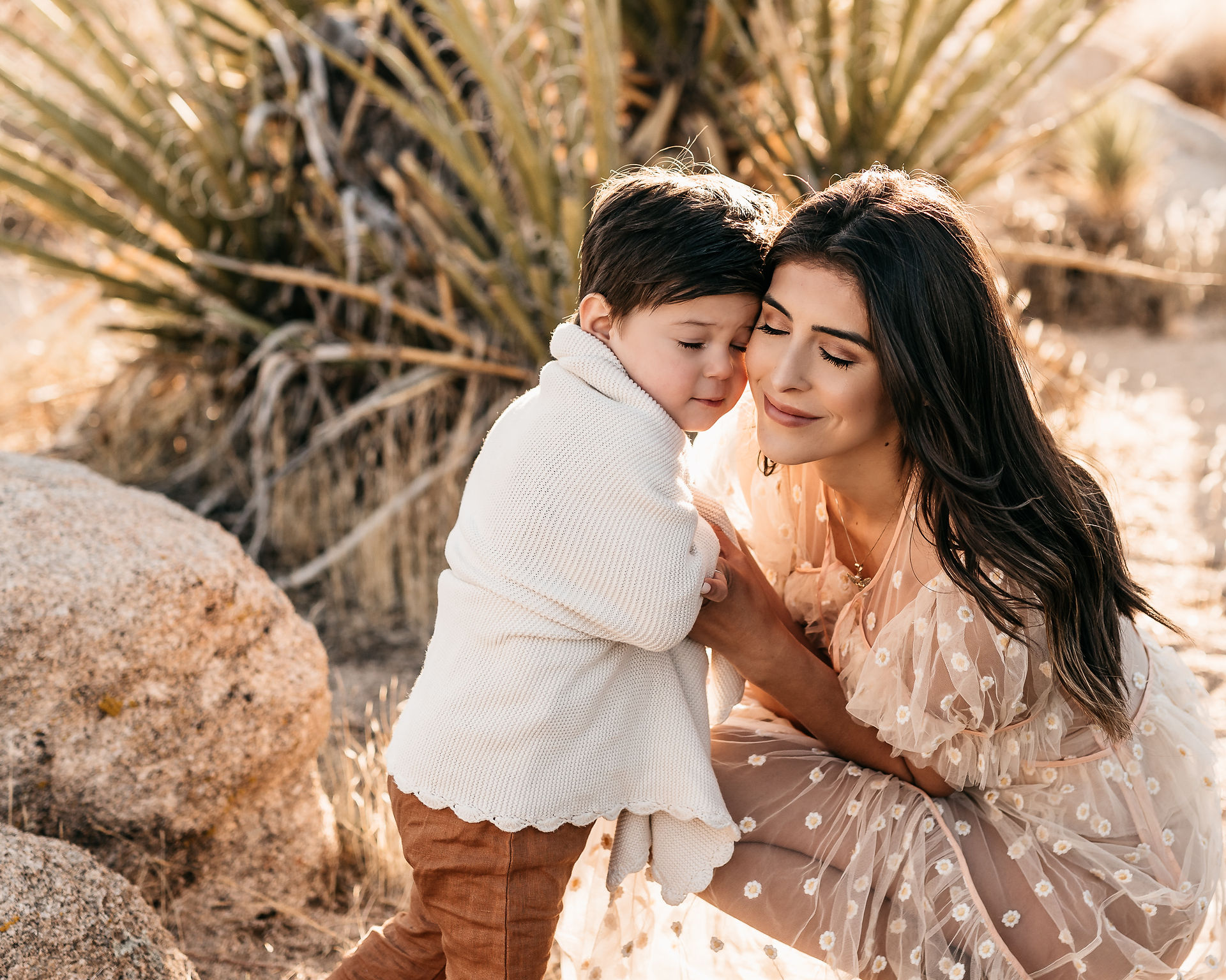 Maternity Photos in Joshua Tree