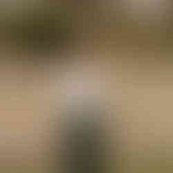 UC San Diego graduate posing by campus monument during solo graduation photo session with San Diego senior photographer.