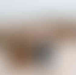 business owners photographer seniors and families