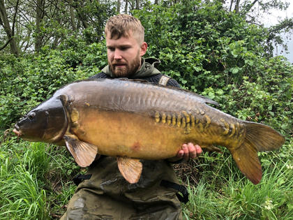 Carp Fish