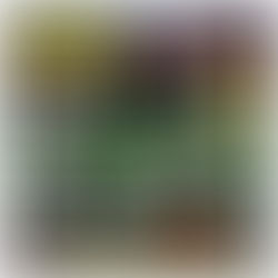 BSIDE SPORTS: EPISODE 6