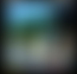 WAKE THE FLOK UP: EP 8