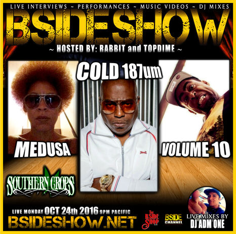 BSIDESHOW: EPISODE #313