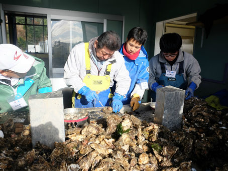 TRITON SCHOOL×牡鹿漁師学校
カキ養殖編